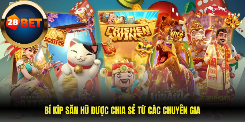 Bí kíp săn hũ được chia sẻ từ các chuyên gia