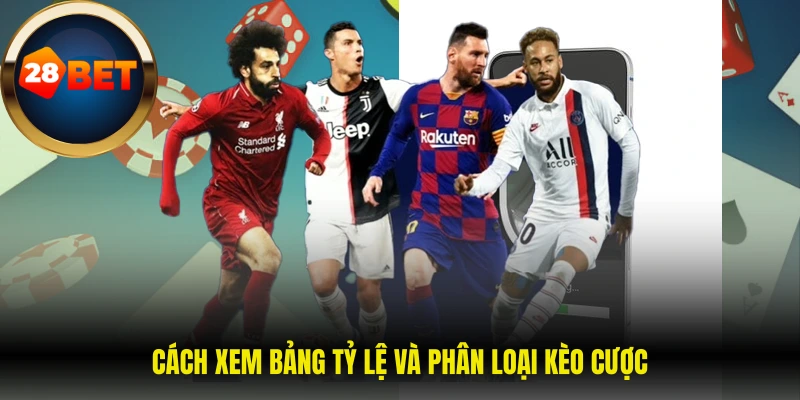 Cách xem bảng tỷ lệ và phân loại kèo cược