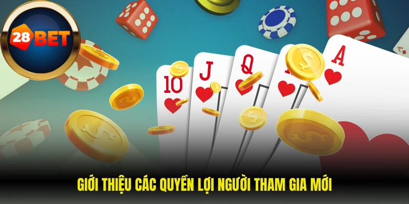 Giới thiệu các quyền lợi người tham gia mới