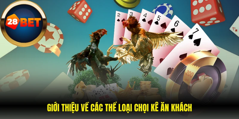 Giới thiệu về các thể loại chọi kê ăn khách