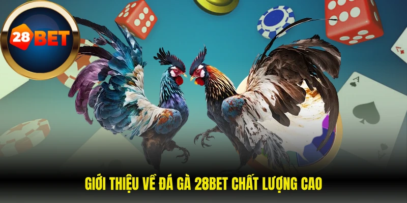 Giới thiệu về đá gà 28BET chất lượng cao