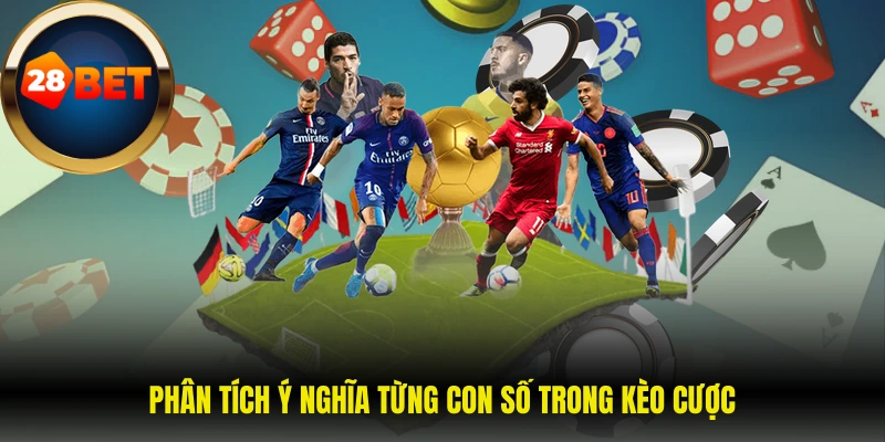 Phân tích ý nghĩa từng con số trong kèo cược