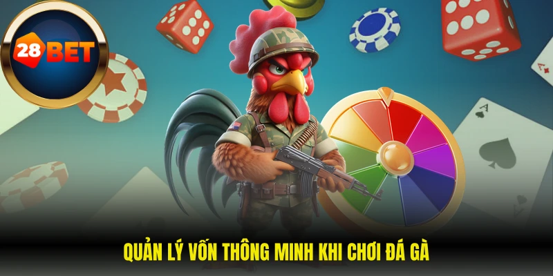 Quản lý vốn thông minh khi chơi đá gà