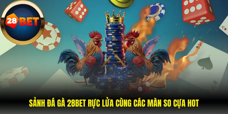 Sảnh đá gà 28BET rực lửa cùng các màn so cựa hot