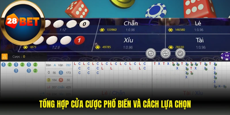 Tổng hợp cửa cược phổ biến và cách lựa chọn